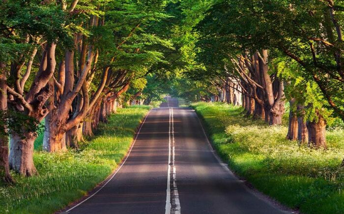 Điềm báo giấc mơ thấy con đường và con số may mắn 1 Điềm báo giấc mơ thấy con đường và con số may mắn khi chơi lô đề?