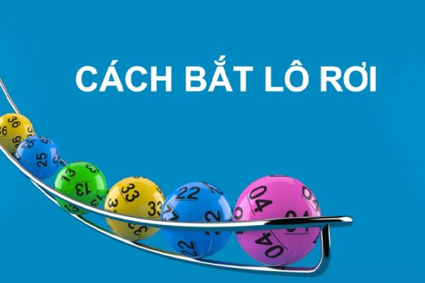Tìm hiểu lô rơi và cách chơi lô sao cho dễ thắng nhà cái nhất 1 Tip đánh lô rơi hiệu quả nhanh thắng