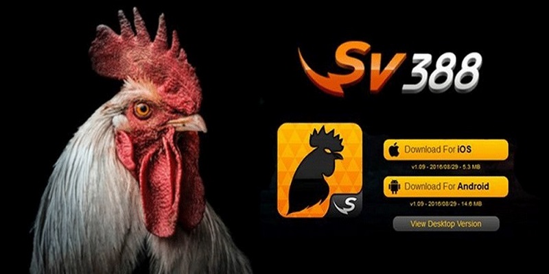 Đá gà trực tiếp SV388 - Cá cược uy tín hàng đầu châu lục 2 sv388-con-noi-bat-voi-he-thong-game-chat-nhu-nuoc-cat